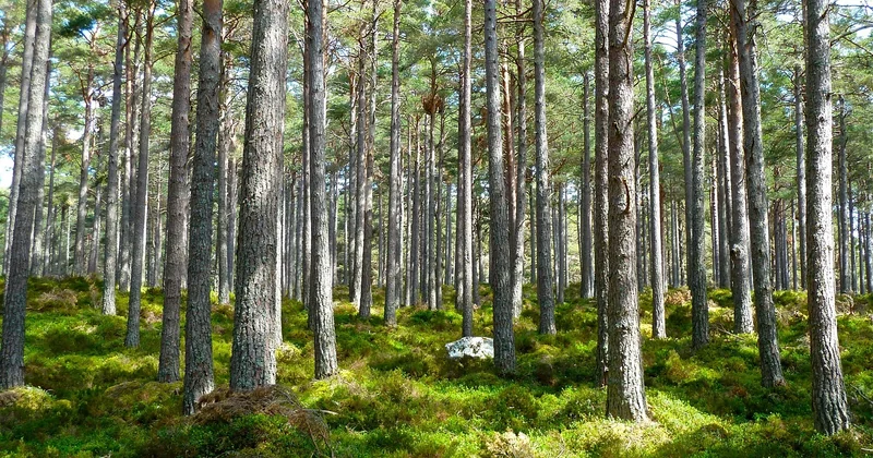 Labels écotourisme : comment distinguer le vrai du greenwashing
