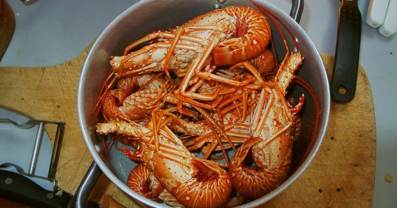 Cours de cuisine locale à Marrakech : vivez une expérience inoubliable