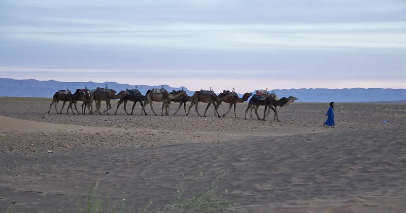 Trek Maroc Atlas : comment choisir un opérateur qui ne triche pas