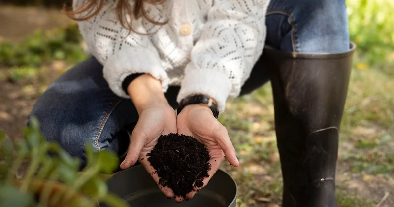 Impact environnemental : tous les itinéraires ne se valent pas