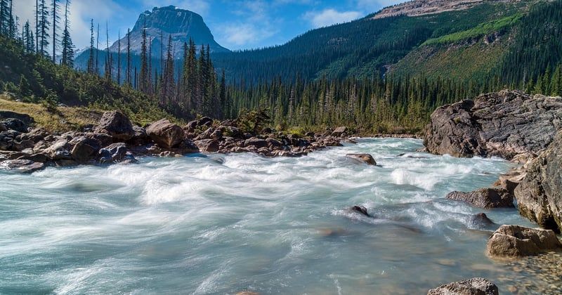 Explorez les parcs nationaux d'Amérique du Nord : guide complet des merveilles à voir