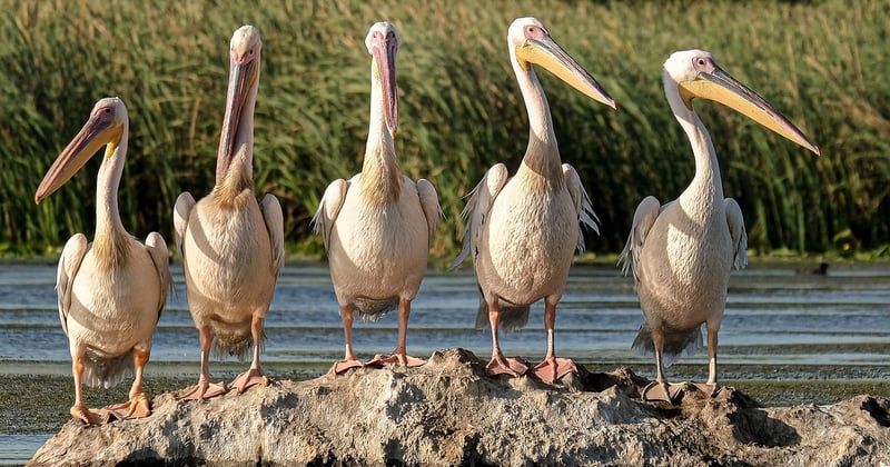 10 activités écotouristiques à faire au Québec pour se reconnecter à la nature