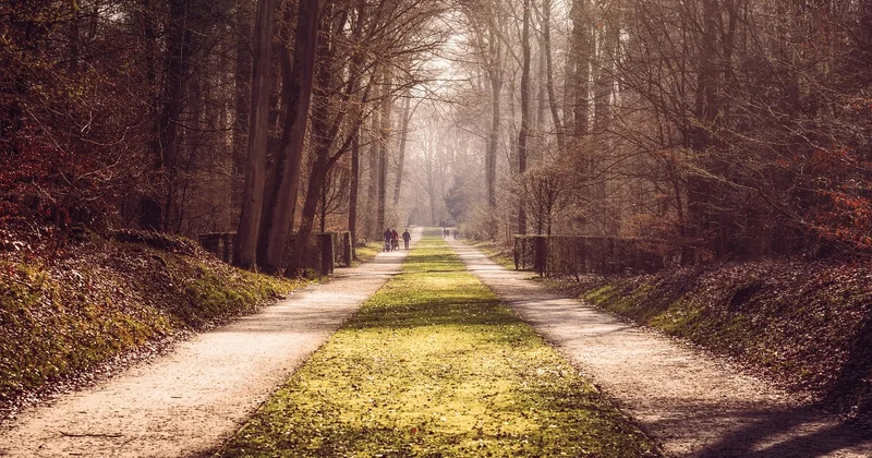 Quel parc choisir selon votre profil ?
